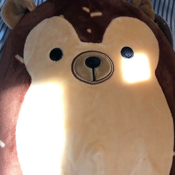 Hans is a hedgehog with a brown body. 7-8 inch - Picture 2 of 8